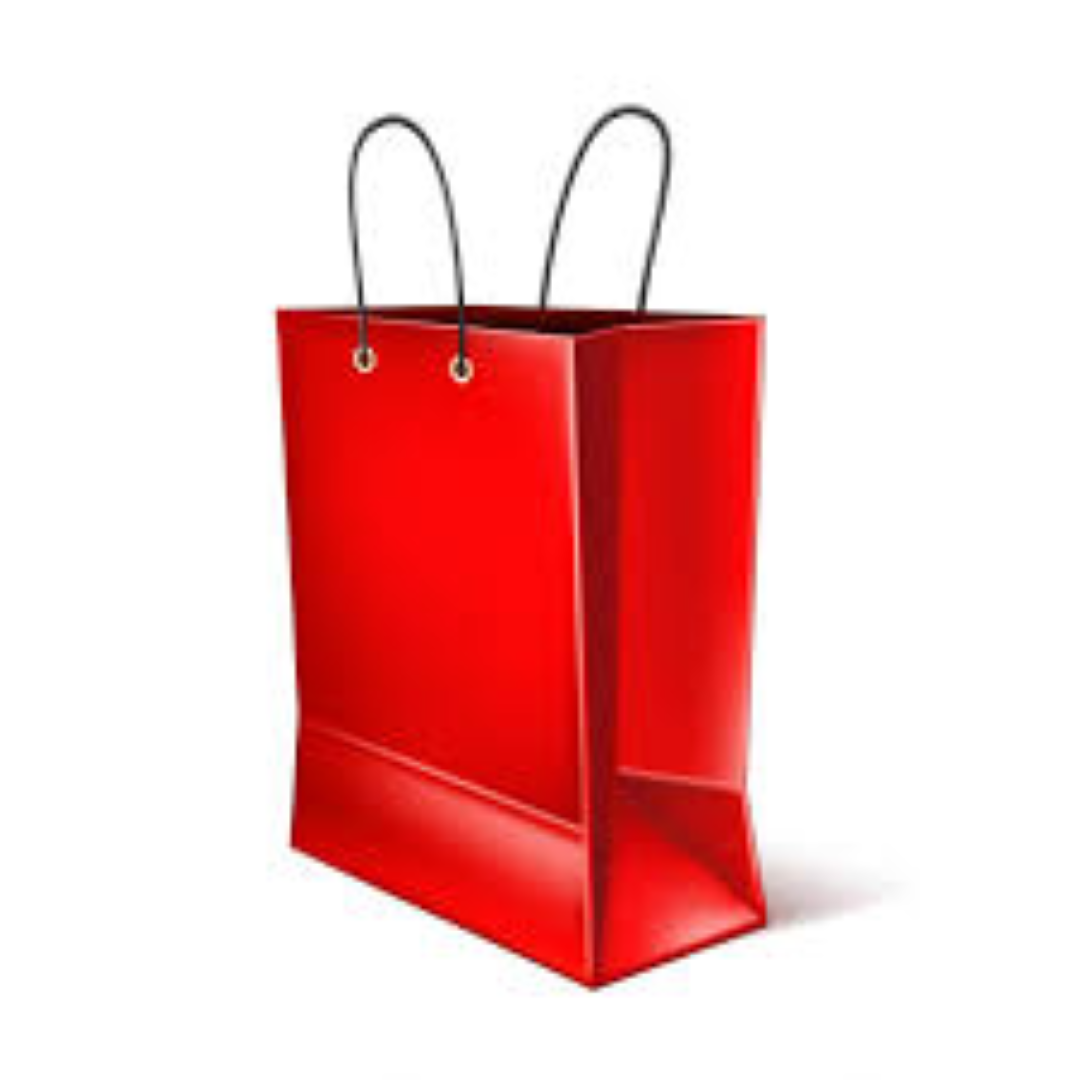 SBE GIFT BAG LARGE SZ